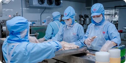 CÔNG TY CỔ PHẦN ĐỒ HỘP HẠ LONG - HẢI PHÒNG - 1