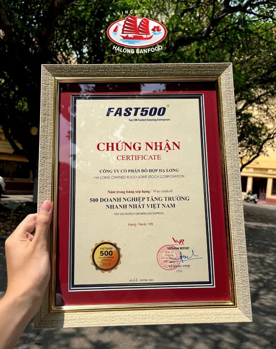 chứng nhận 500 doanh nghiệp tăng trưởng nhanh nhất việt nam 2023