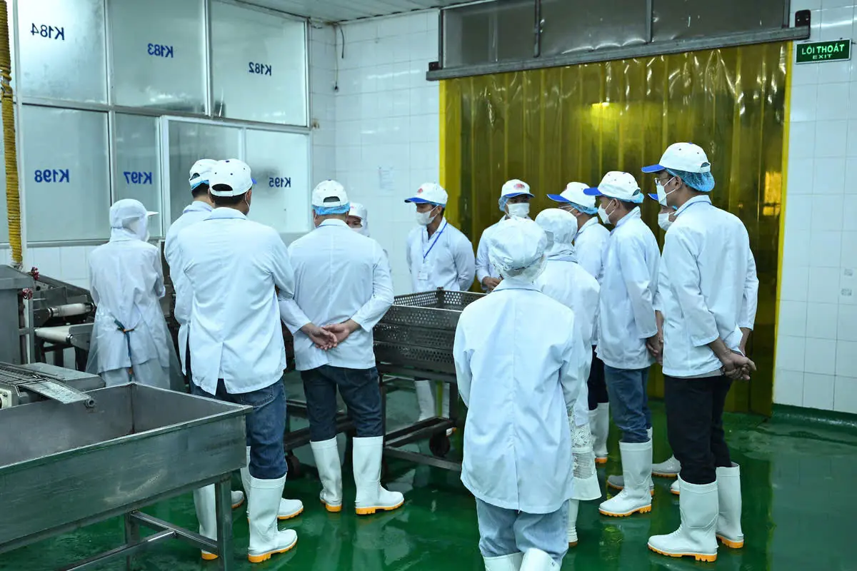 nhà máy Hạ Long