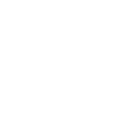 Vision